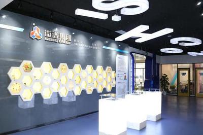 薛侃走访调研上海微谱与夺畅网络，推进上海网络技术服务发展