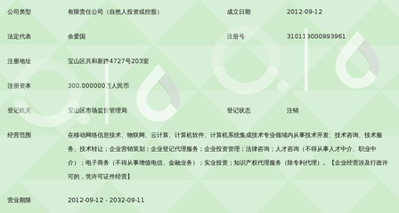 上海顶网移动网络信息技术服务 数字化浪潮中的技术先锋