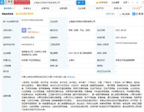 上海网络技术服务 科技浪潮中的数字引擎
