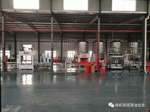 米多科技 技术深耕，服务践行——上海网络技术服务引领新篇章